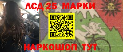 прущие грибы Краснознаменск