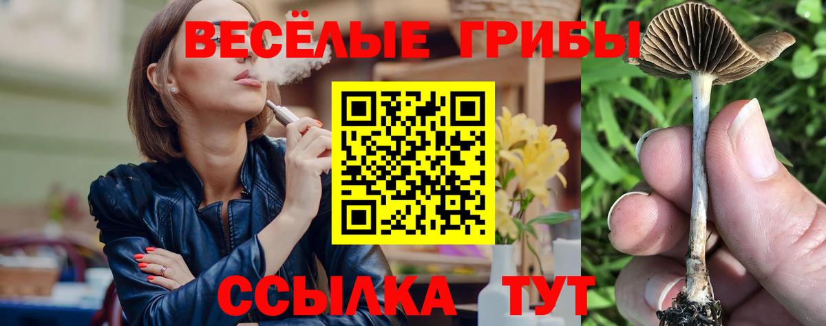 Галлюциногенные грибы Psilocybine cubensis Заводоуковск
